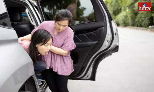 From Ginger to Lemona use These 3 things While Travel Avoid Vomiting Sickness From Ginger to Lemona use These 3 things While Travel Avoid Vomiting Sickness