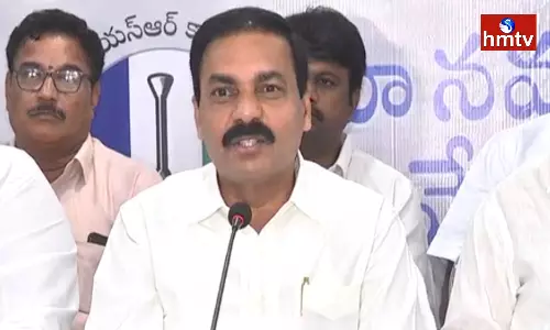 Kakani Govardhan Reddy Comments On Balineni