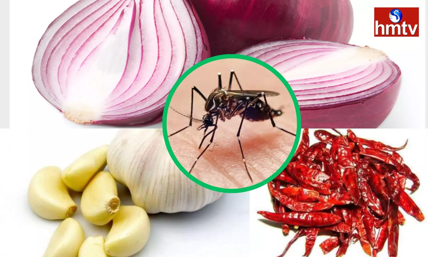 Myth or Truth Eating Garlic, Onion and Black Pepper is Safe for Mosquitoe Bites