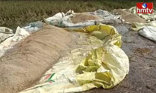 Hail Storm in Nizamabad District