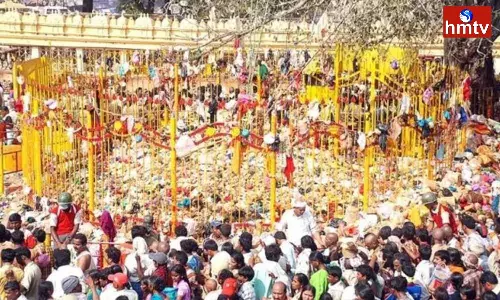 Medaram Jatra 2024 Dates Are Finalised Medaram Jatra 2024 Dates Are Finalised