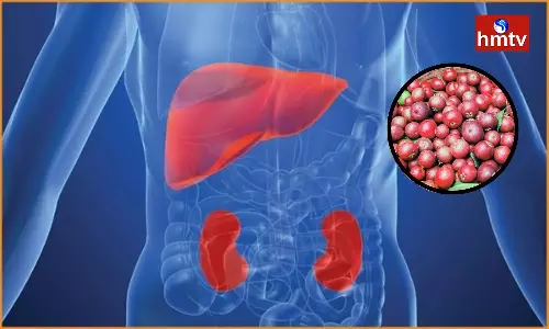 Eat Kokum Fruit Daily for Kidney and Liver Health and Healthy Weight Loss