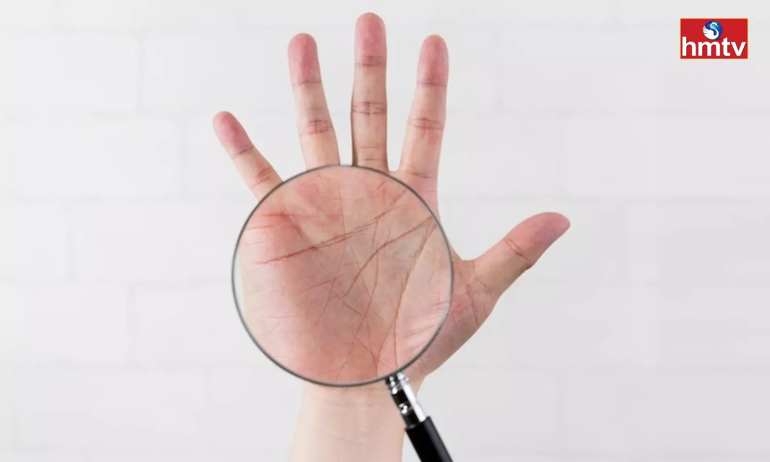 Do you Have These Lines in Your Hand Check Full Details Palmistry