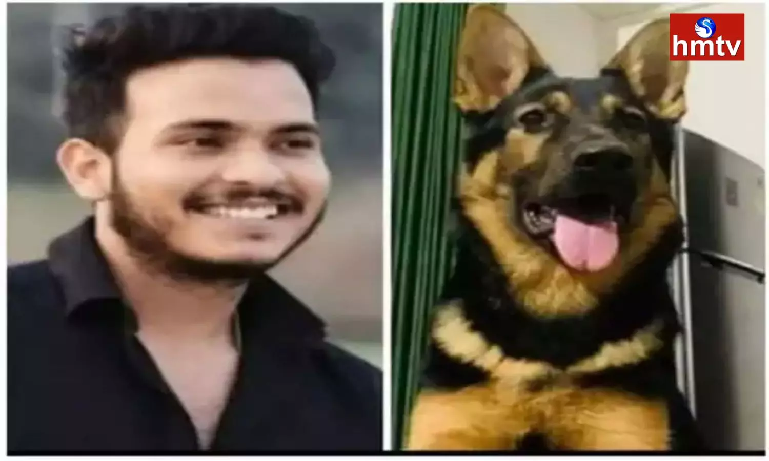 Youth Committed Suicide By Hanging Himself While His Pet Dog Also Died In Jhansi Of Up
