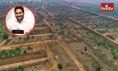 Government Has Issued An Allotment Of 268 Acres In The AP Capital