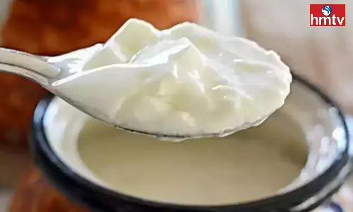 Do Not Eat These Foods Along With Curd in Summer Very Dangerous