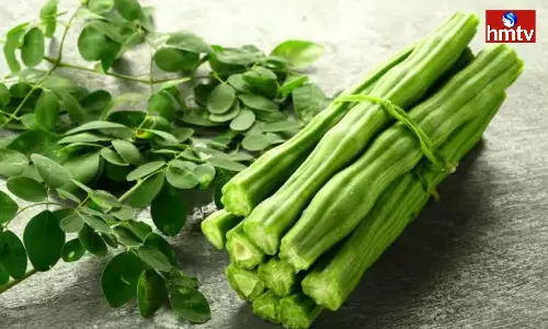 Amazing Benefits of Drum Sticks