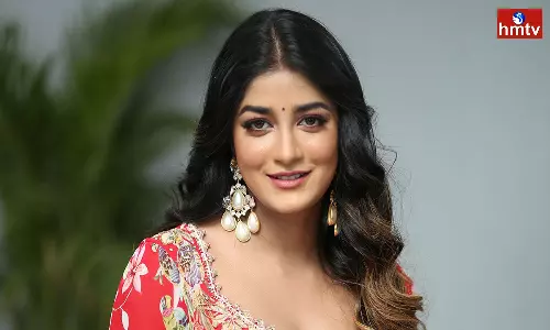 Police Case Filed Against Heroine Dimple Hayathi