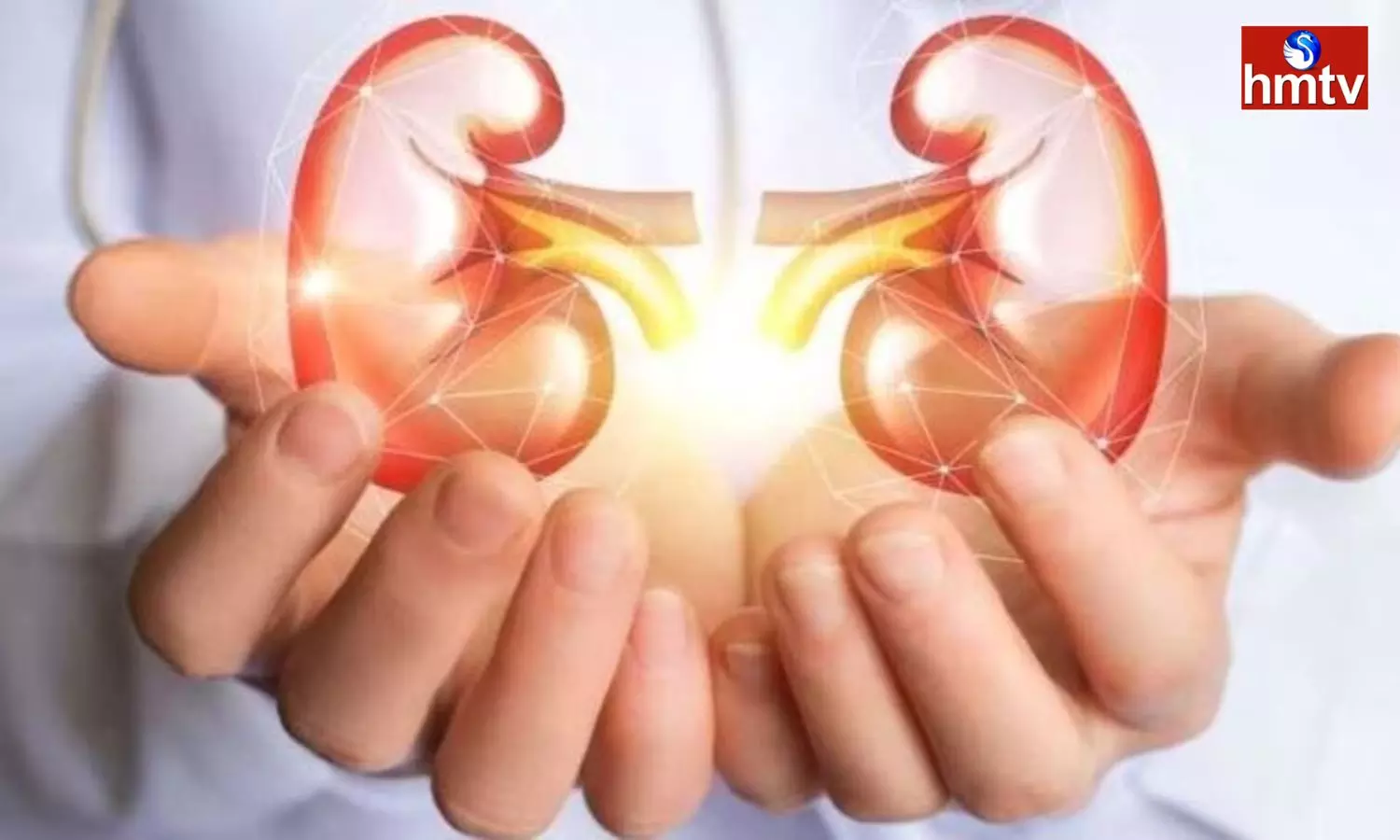 Kidney Failure is Very Dangerous Do not Make these Mistakes at all