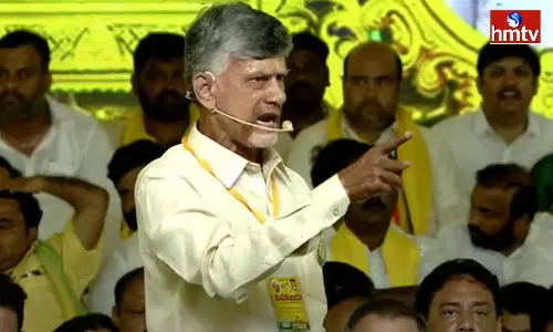 Chandrababu Comments On Jagan Chandrababu Comments On Jagan