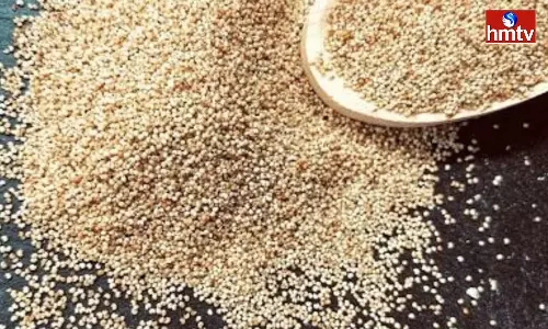 Eat poppy Seeds in Summer these Health Problems Will get a Good Solution Eat poppy Seeds in Summer these Health Problems Will get a Good Solution