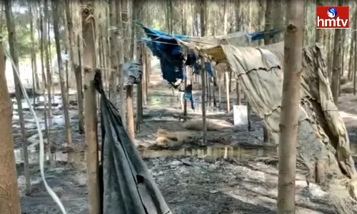 Fire Accident In Nellore District Fire Accident In Nellore District