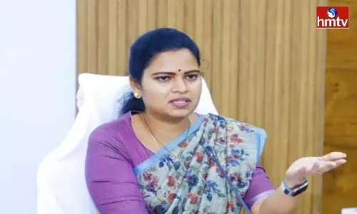 Vidadala Rajini Comments on Chandrababu