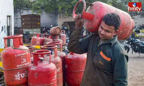 Solar Stove Surya Nutan Check here Price and all Details Solar Stove Surya Nutan Check here Price and all Details