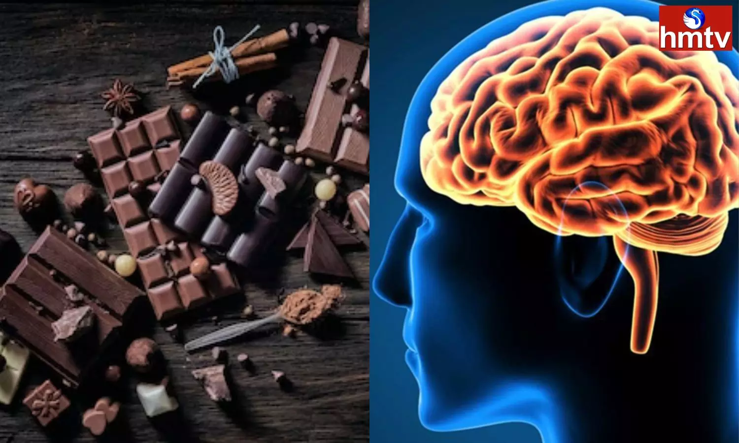 If you Eat Chocolate the Brain is Sharp Shocking Facts in The Research