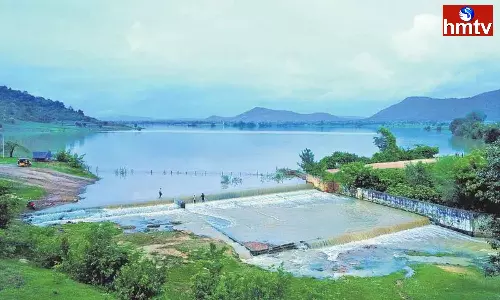 Telangana Government Pond Festival