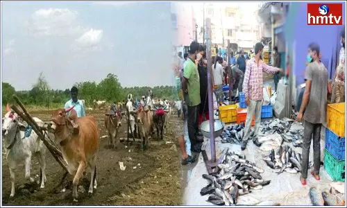 Why People Eat Fish on Mrigasira Karthi Here is the Reason Why People Eat Fish on Mrigasira Karthi Here is the Reason