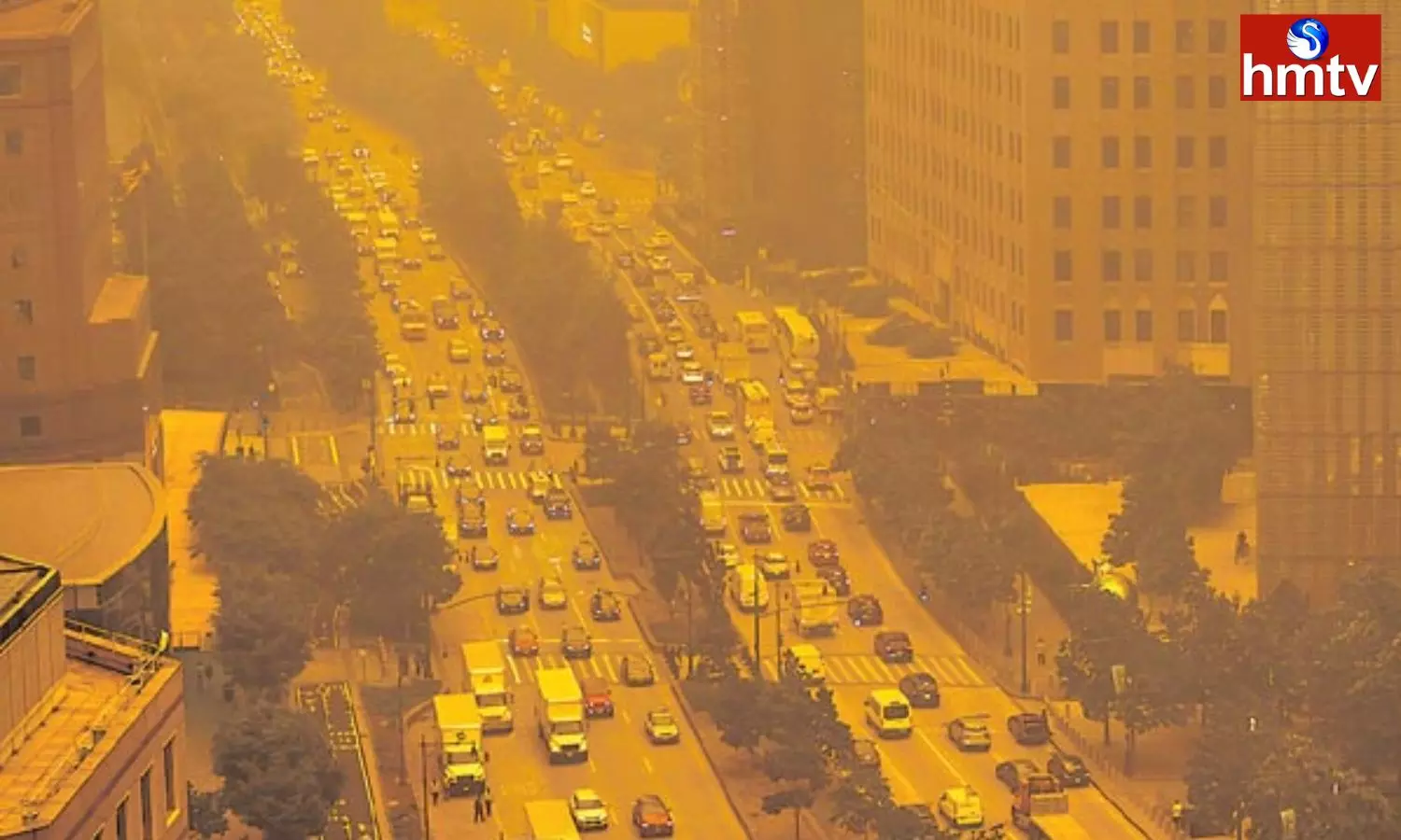 New York Struggling With Air Pollution