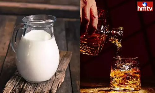 Female Elephants Milk is Very Dangerous for Humans it Contains 60 Percent Alcohol Female Elephants Milk is Very Dangerous for Humans it Contains 60 Percent Alcohol