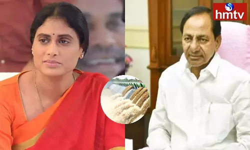 Are You Ready For An Open Discussion On The Palamuru Project Says YS Sharmila Are You Ready For An Open Discussion On The Palamuru Project Says YS Sharmila