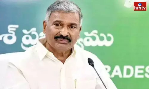 Peddireddy Comments On Chandrababu