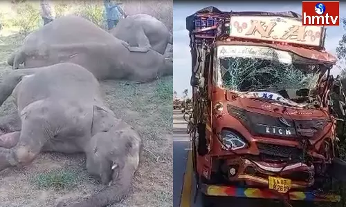 Road Accident on Tirupati-Bangalore Highway Road Accident on Tirupati-Bangalore Highway