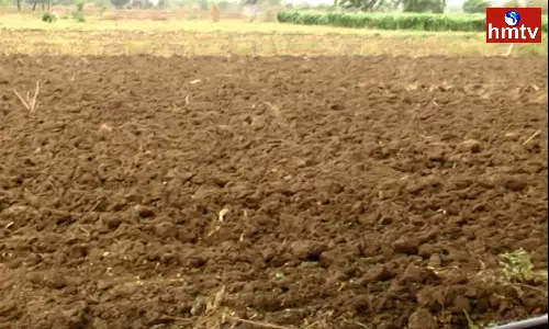 The Rains Do Not Fall Farmers Are Waiting For Rain