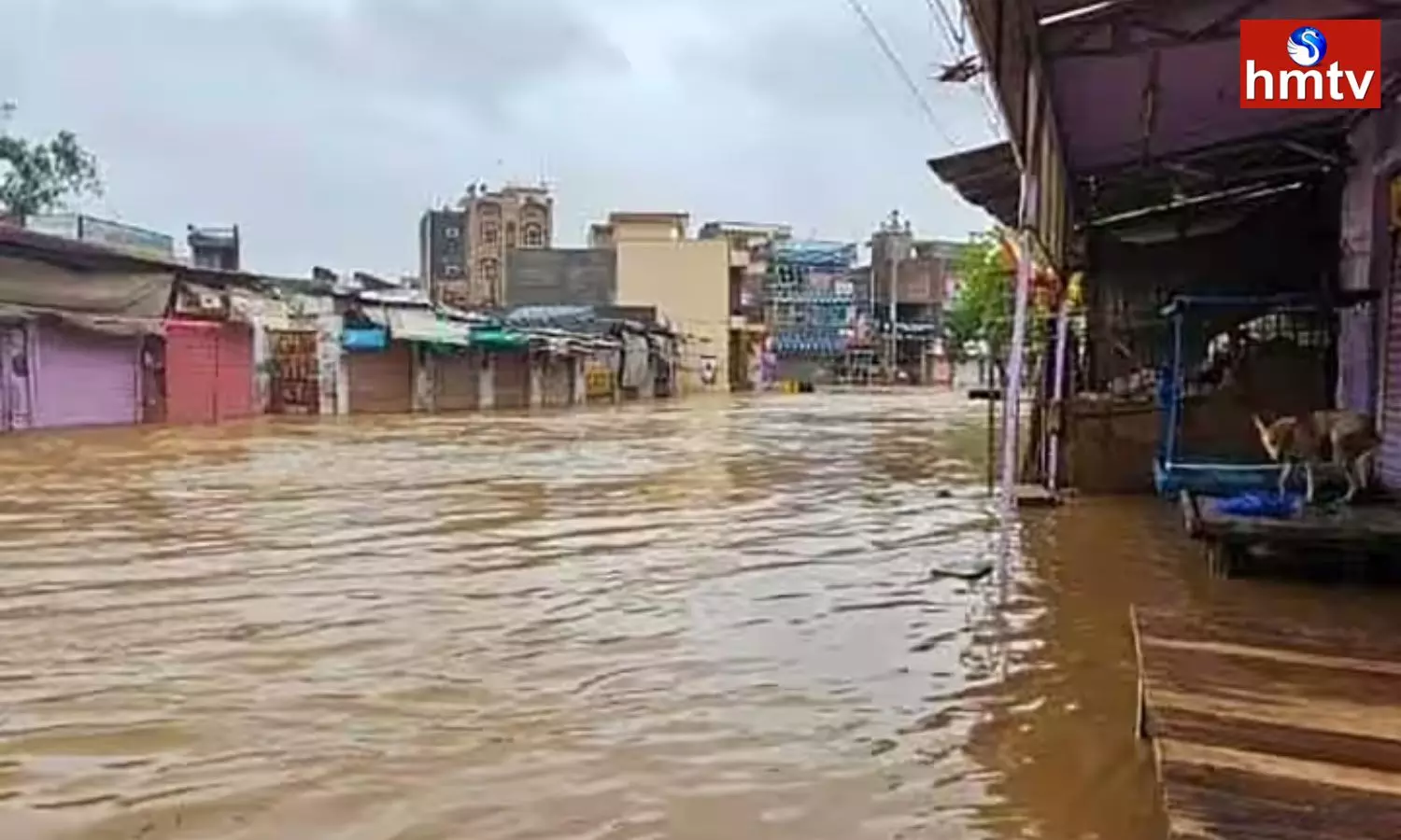 Heavy Rains In Rajasthan Past Two Days Heavy Rains In Rajasthan Past Two Days