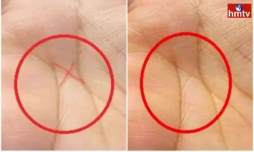 Palmistry Is There an X Mark on the Palm Check Palm Astrology Full Details