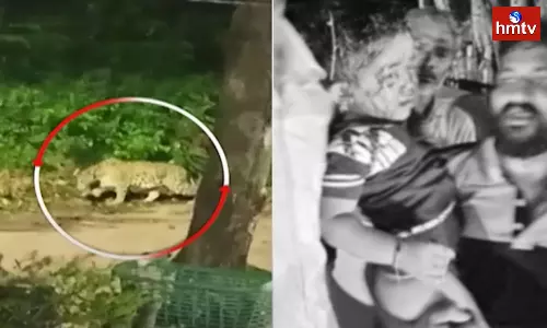 Boy attacked by Leopard on Alipiri walkway Boy attacked by Leopard on Alipiri walkway