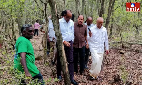 TTD Forest Department Officers Alerted By Leopard Movement TTD Forest Department Officers Alerted By Leopard Movement