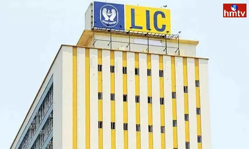 Check LIC New Dhan Vriddhi Plan is a Non-Linked, Non-Participating, Individual, Savings, Single Premium Life Plan That Offers a Combination of Protection and Savings