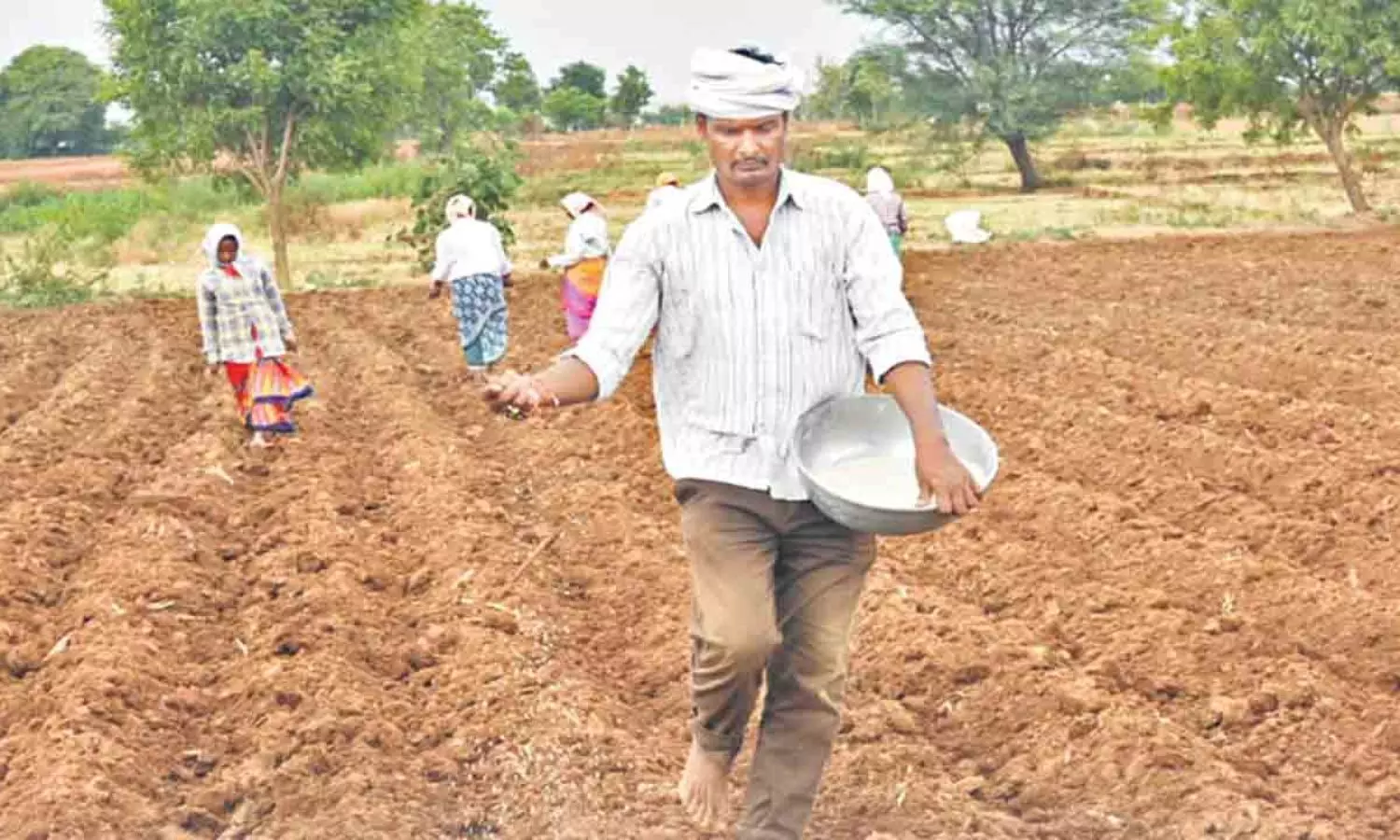 Farmers Who Started The Cultivation Work With First Greetings Farmers Who Started The Cultivation Work With First Greetings