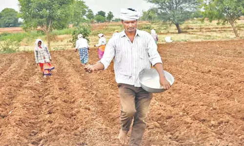 Farmers Who Started The Cultivation Work With First Greetings