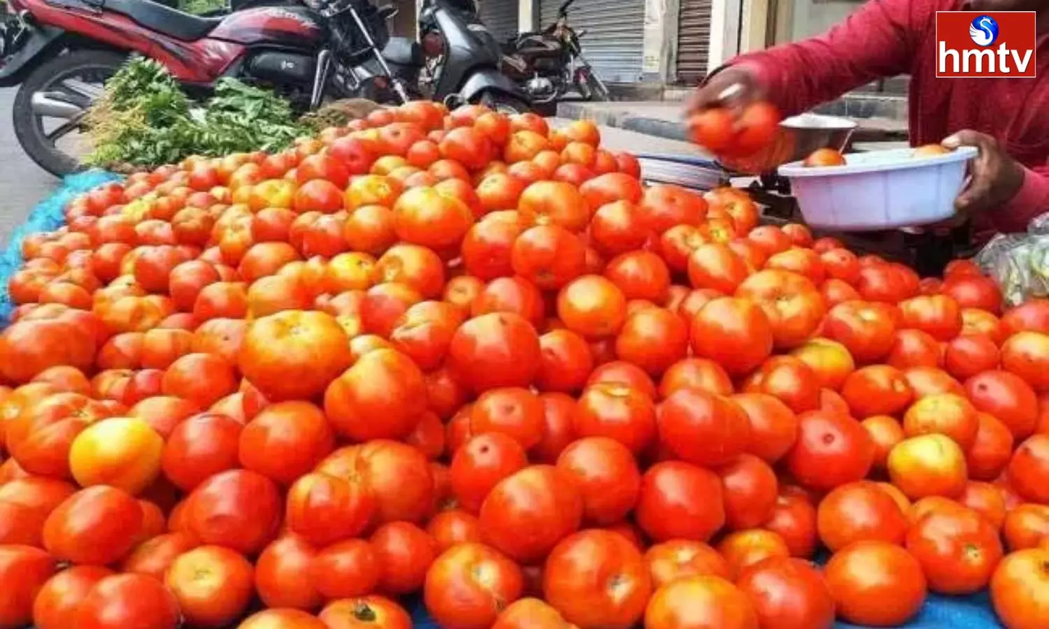 Tomato Prices Hike in Telugu States Tomato Prices Hike in Telugu States