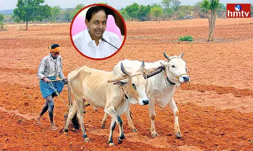 Distribution of Podu Lands Pattas across Telangana today