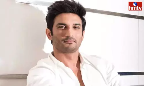 Deputy Chief Minister Devendra Fadnavis Comments On Bollywood Actor Sushant Singh Rajput Death Case