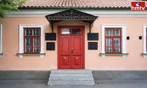 Are you keeping these 4 things at the main door remove them Immediately or else you will Suffer Financially check Home Vastu Tips