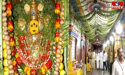 Shakambari Ustavams At Vijayawada kanakadurgamma Temple Gloriously