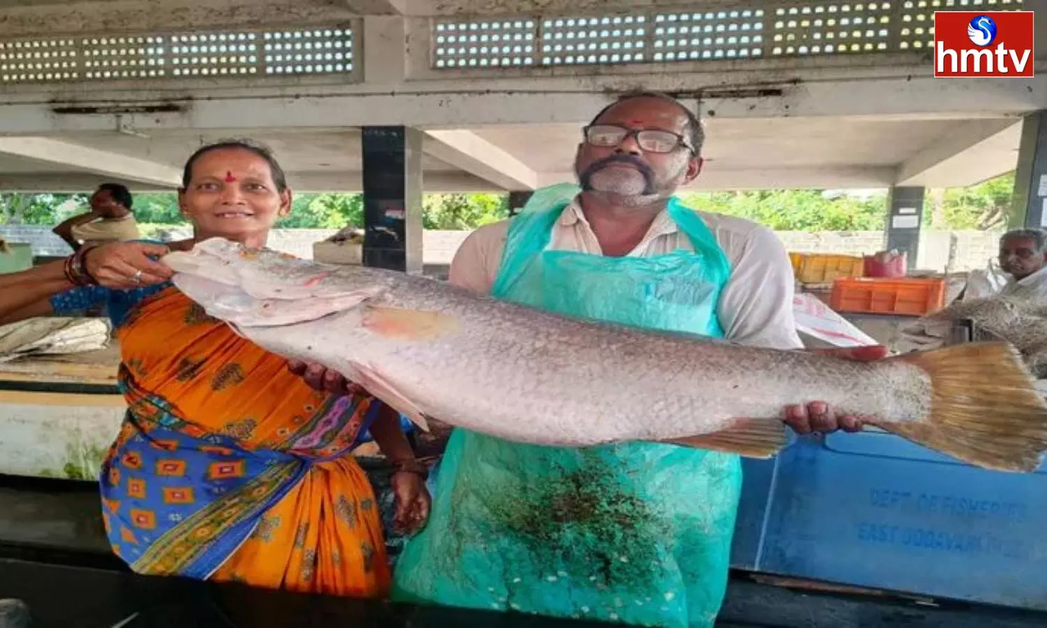 Big Barramundi Fish Caught In Yanam