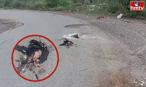 Some People Did Black Magic In Dachepalli Model School Road