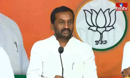 BJP MLA Raghunandan Hot Comments
