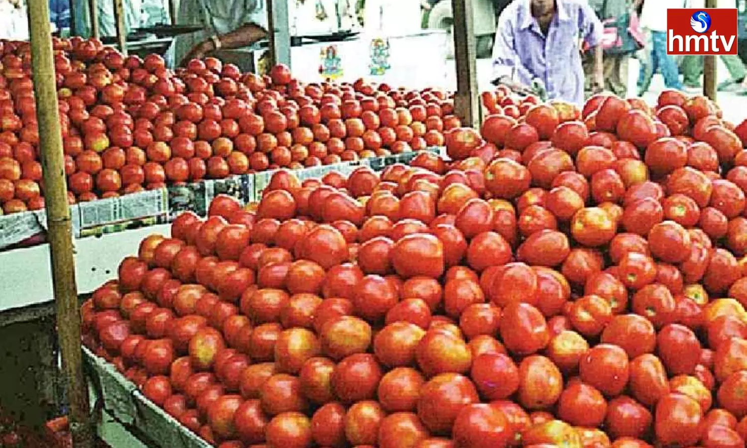 Decision To Sell Tomatoes In Ration Shops Across Tamil Nadu