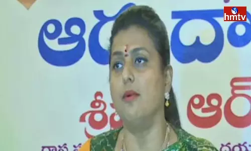 Minister Roja Comments On Lokesh And Pawan Kalyan