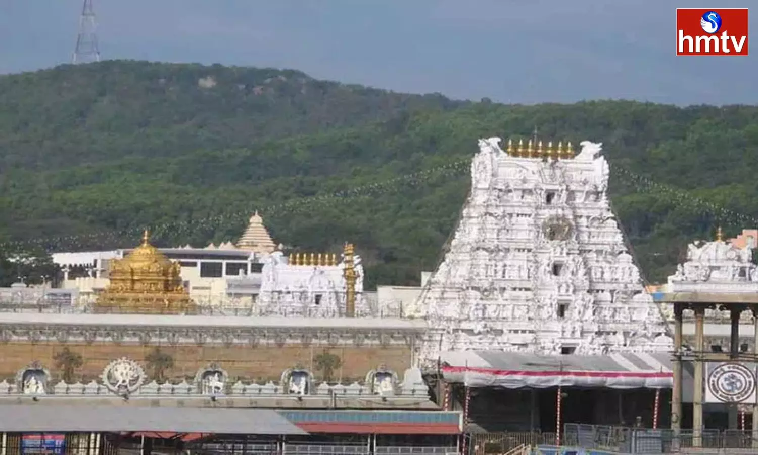 Selling 6 VIP Break Tickets For 42 Thousand Selling 6 VIP Break Tickets For 42 Thousand