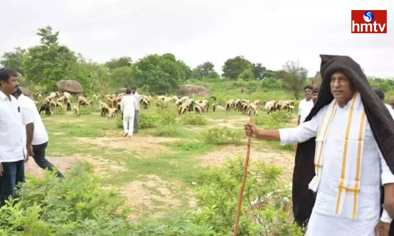 The Minister Malla Reddy Distributed Sheep to the Beneficiaries