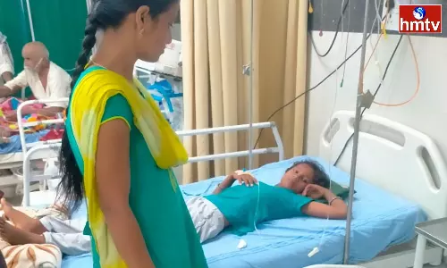 Snakes In Machareddy Tribal Welfare Hostel In Kamareddy District