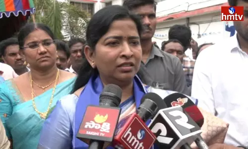 Taneti Vanitha Fire on TDP On Criticism