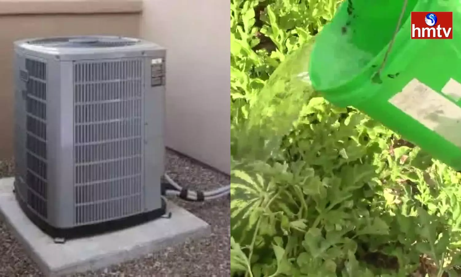 What Happens if AC Water is Poured on the Plants Check AC Water Uses