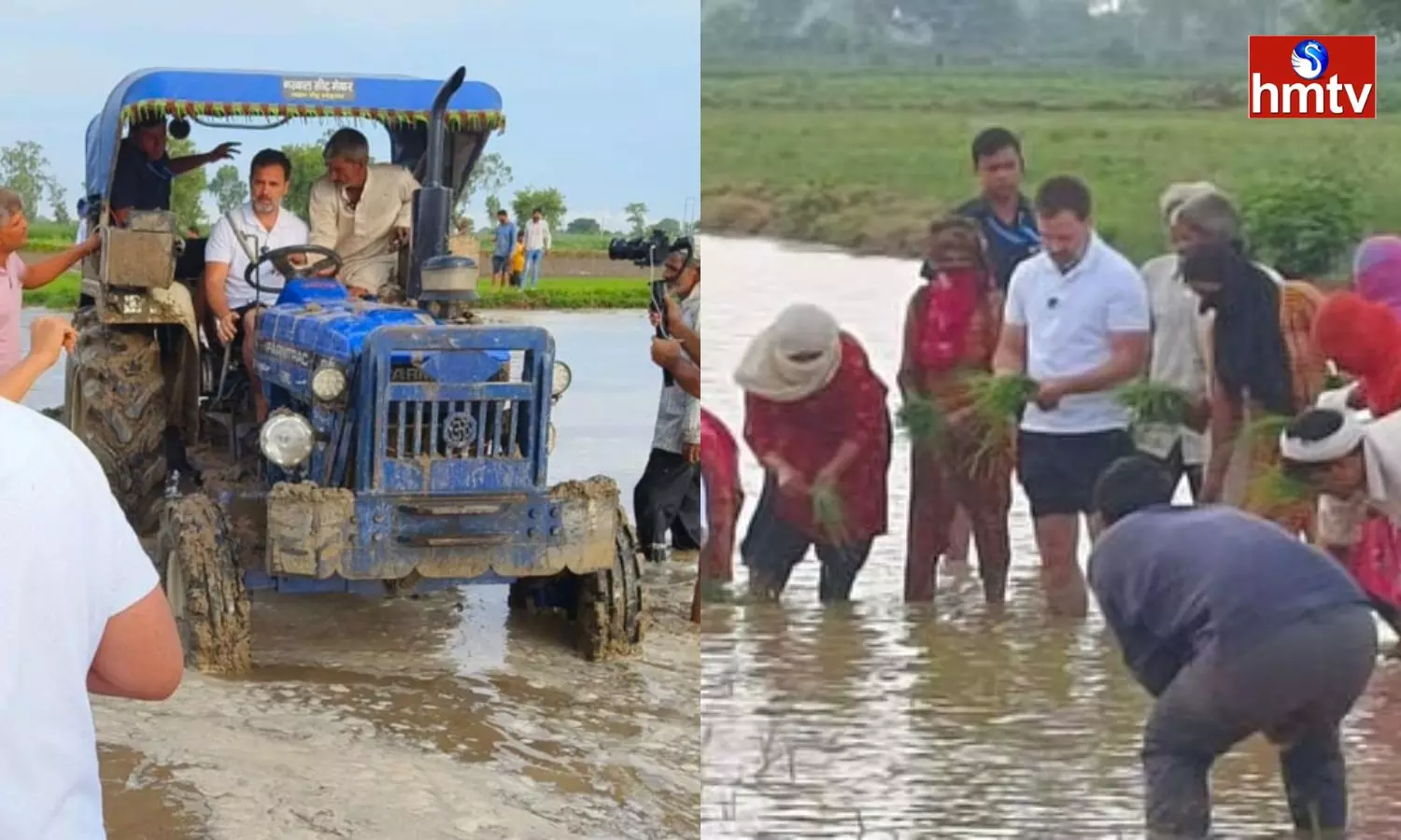 Rahul Gandhi Meets Farmers Sows Seeds in Sonepat Rahul Gandhi Meets Farmers Sows Seeds in Sonepat